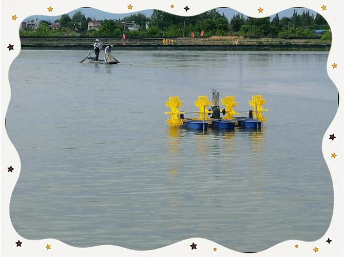 养殖河蟹喂什么饵料-第2张图片-宁夏农业信息网 养殖河蟹喂什么饵料-第2张图片-宁夏农业信息网