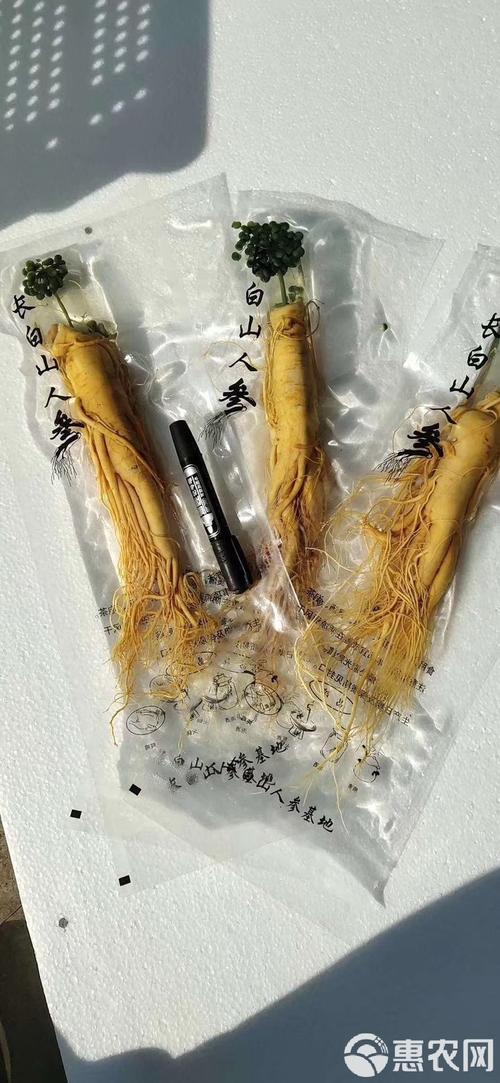 2017园参价格是多少-第3张图片-宁夏农业信息网