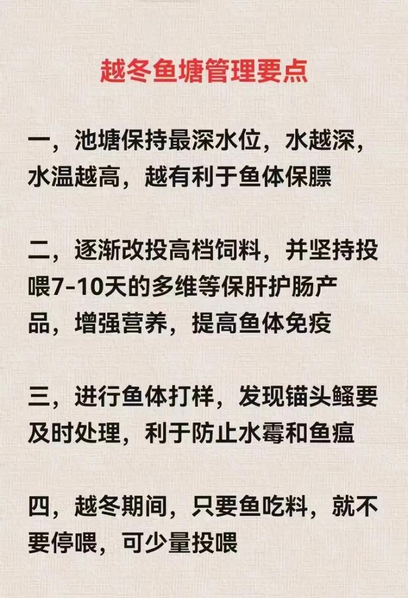15亩鱼塘养殖什么意思-第3张图片-宁夏农业信息网
