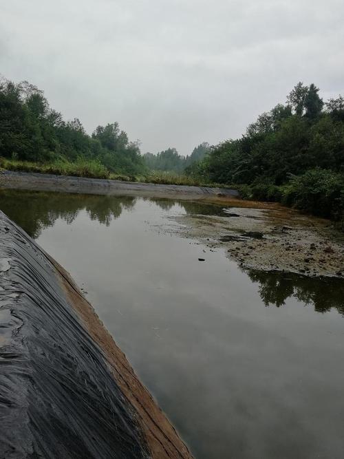 15亩鱼塘养殖什么-第3张图片-宁夏农业信息网