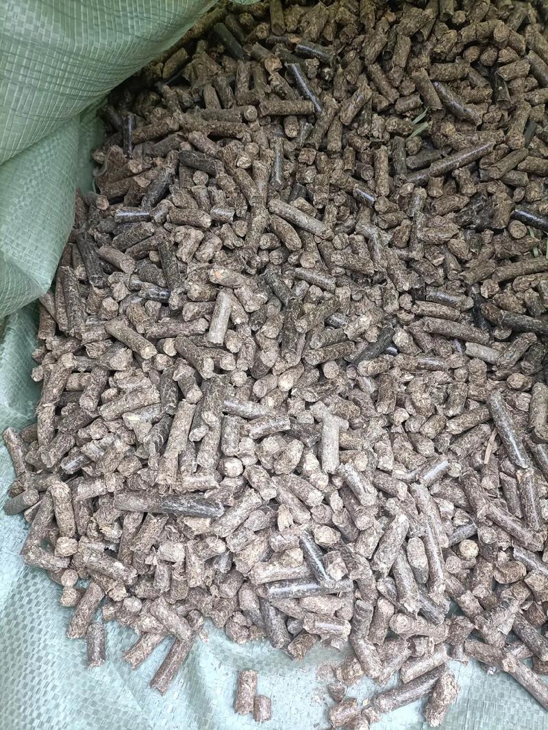 养毛驴喂什么饲料好-第3张图片-宁夏农业信息网