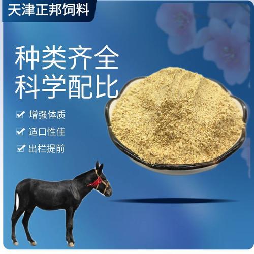 养毛驴喂什么饲料好-第2张图片-宁夏农业信息网