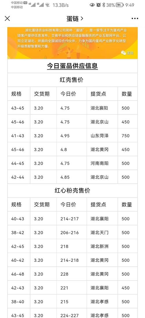甘肃今曰鸡蛋价格多少-第3张图片-宁夏农业信息网