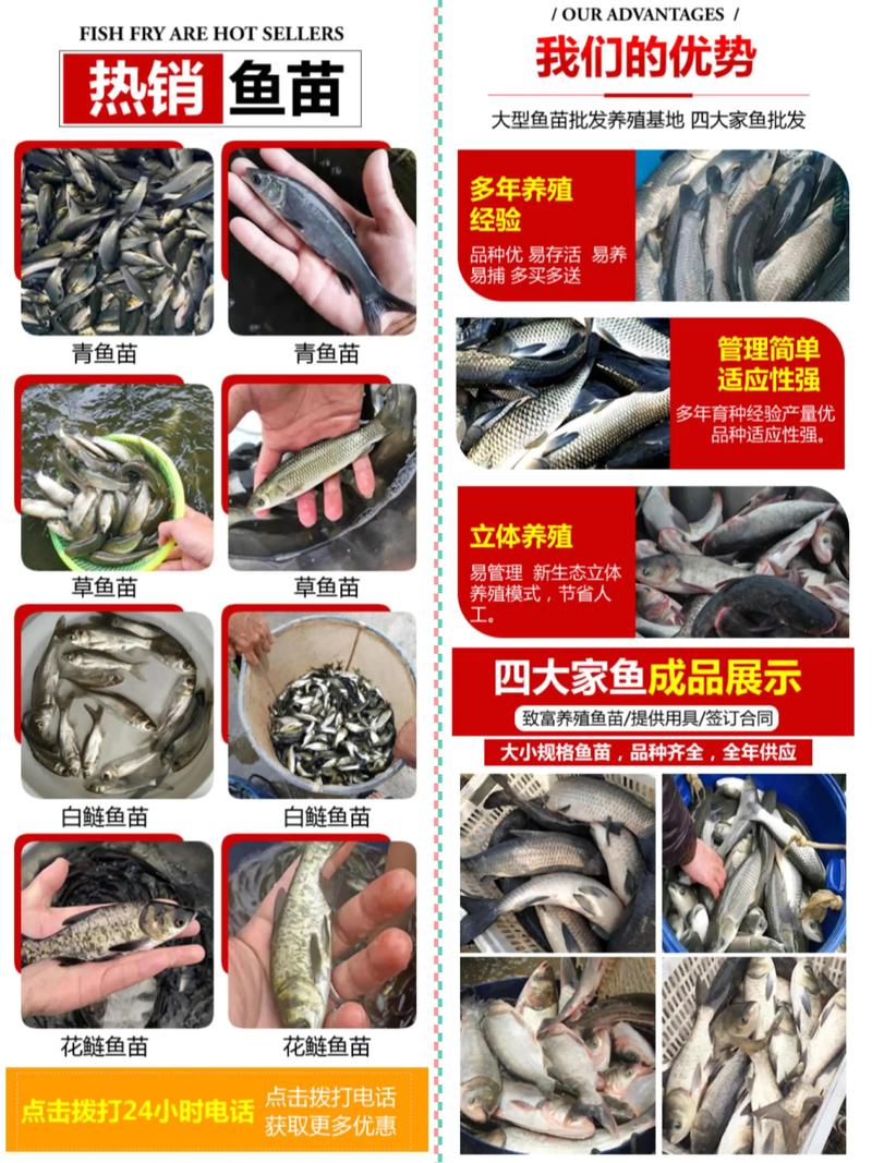 养殖花鲢鱼喂什么料-第3张图片-宁夏农业信息网