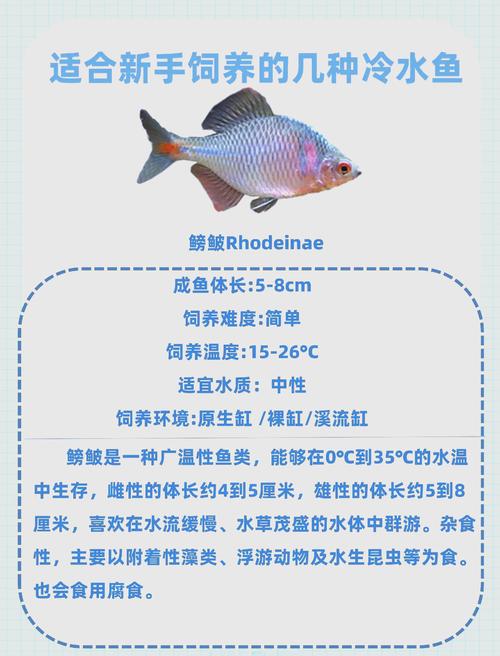 什么水质适合养殖鱼-第2张图片-宁夏农业信息网