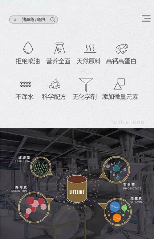 黄喉拟水龟用什么饲料-第2张图片-宁夏农业信息网