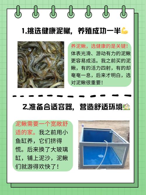 青鳅适合什么地方养殖-第2张图片-宁夏农业信息网 青鳅适合什么地方养殖-第2张图片-宁夏农业信息网