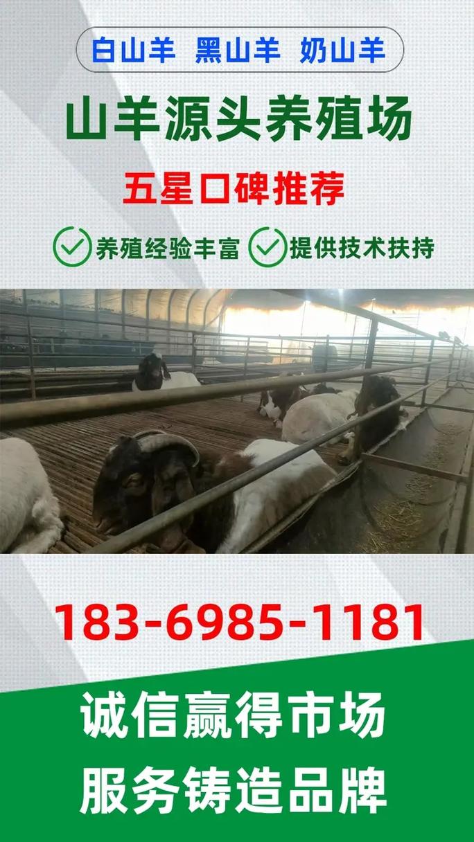 湖南种山羊价格是多少-第2张图片-宁夏农业信息网 湖南种山羊价格是多少-第2张图片-宁夏农业信息网