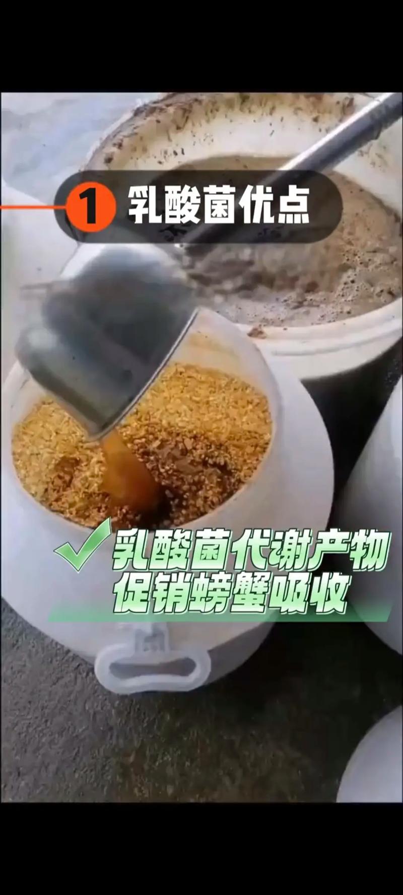 兴化市幼蟹苗吃什么牌饲料-第3张图片-宁夏农业信息网