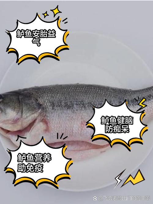 天津鲈鱼的价格是多少-第3张图片-宁夏农业信息网