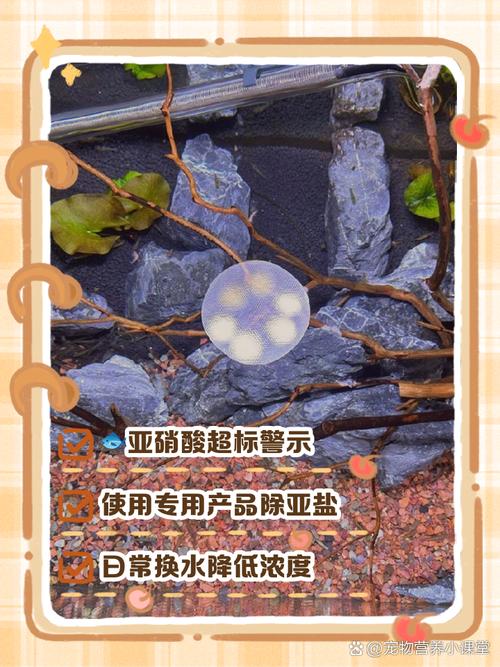 室内养殖为什么亚硝酸盐会高-第3张图片-宁夏农业信息网 室内养殖为什么亚硝酸盐会高-第3张图片-宁夏农业信息网