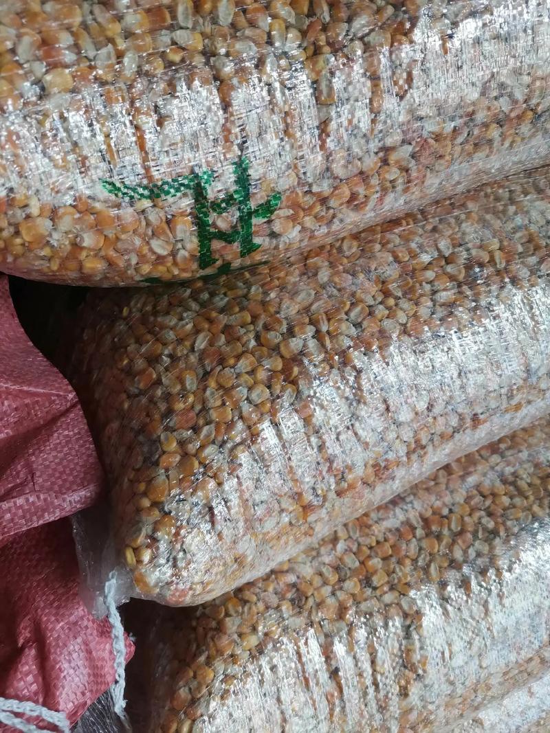 白鹆一般用什么时候饲料-第2张图片-宁夏农业信息网