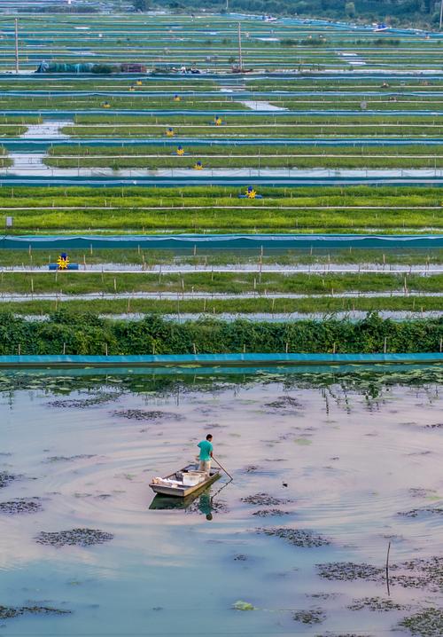 宿迁什么地方养殖蟹基地-第3张图片-宁夏农业信息网 宿迁什么地方养殖蟹基地-第3张图片-宁夏农业信息网