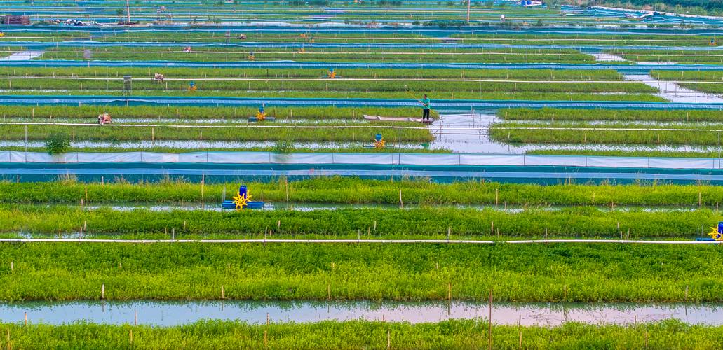宿迁什么地方养殖蟹基地-第2张图片-宁夏农业信息网