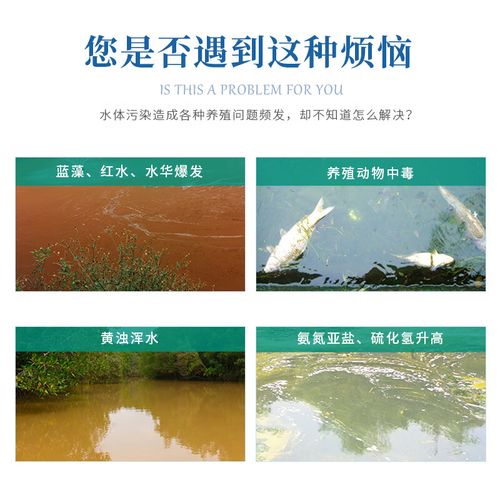 水产养殖中用什么药物水清-第2张图片-宁夏农业信息网