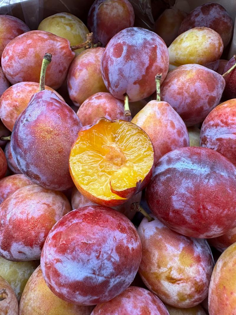 西梅每斤价格是多少-第3张图片-宁夏农业信息网