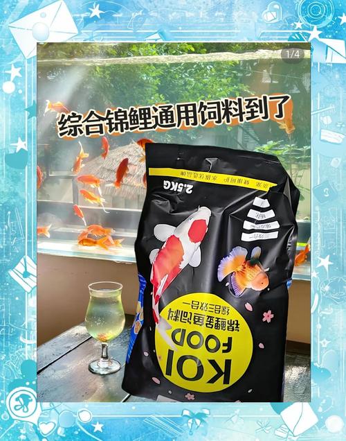 鲤鱼苗用什么饲料喂养-第1张图片-宁夏农业信息网