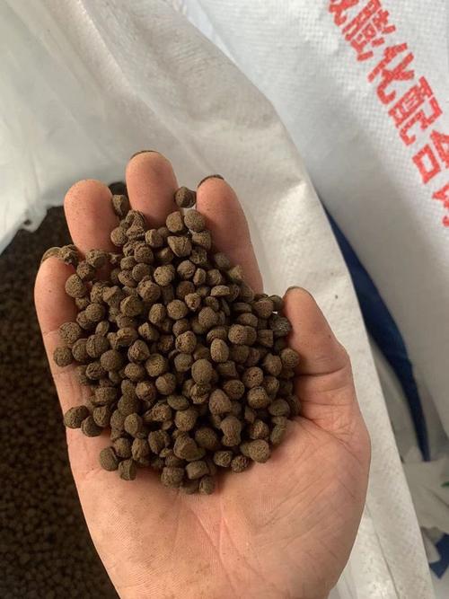 鲤鱼苗用什么饲料喂养-第3张图片-宁夏农业信息网