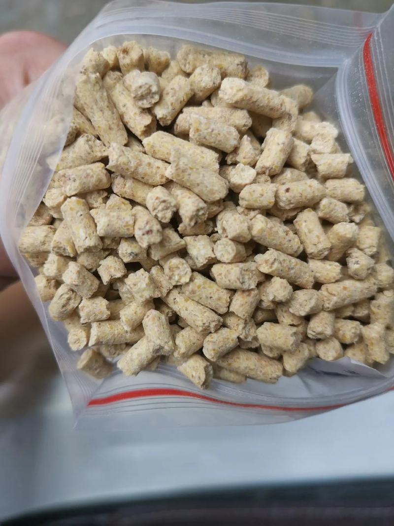 养猪用什么饲料好-第2张图片-宁夏农业信息网