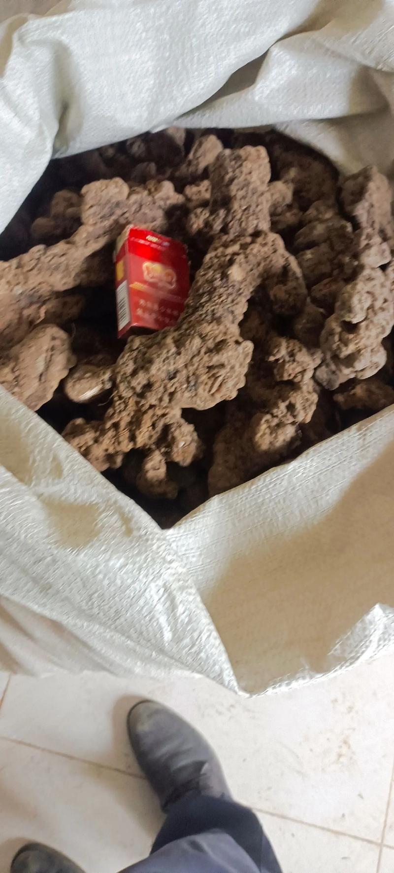 猪苓商品价格是多少-第3张图片-宁夏农业信息网 猪苓商品价格是多少-第3张图片-宁夏农业信息网