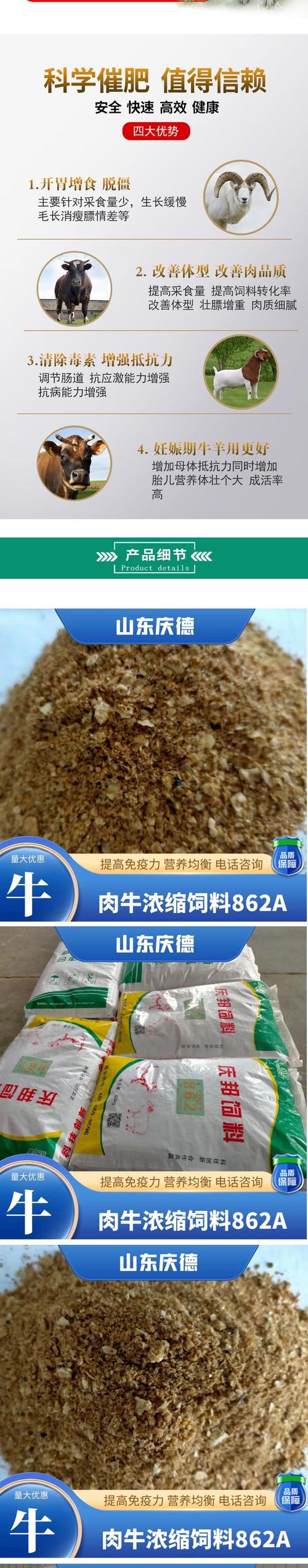 喂肉牛什么饲料好-第1张图片-宁夏农业信息网