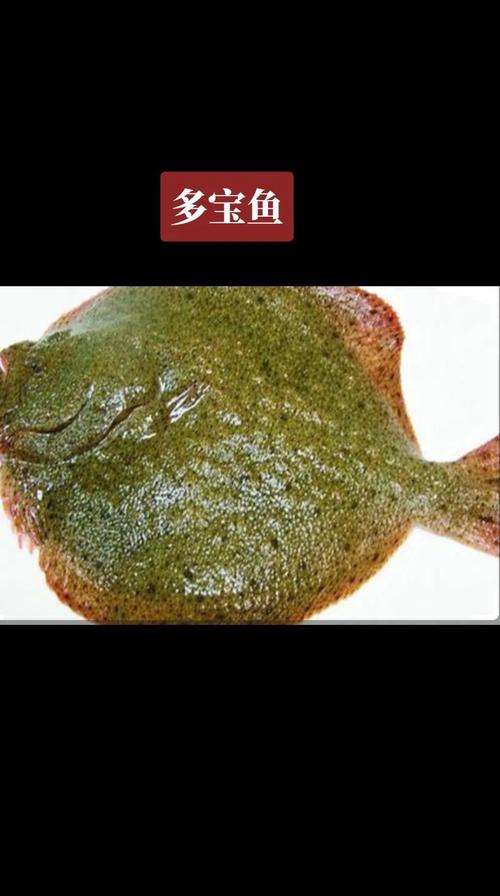 在北方水产养殖主要什么品种-第2张图片-宁夏农业信息网