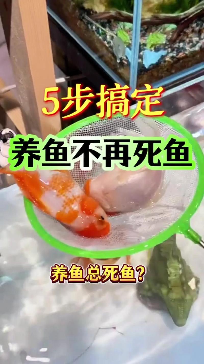 没有鱼饲料用什么喂鱼-第2张图片-宁夏农业信息网