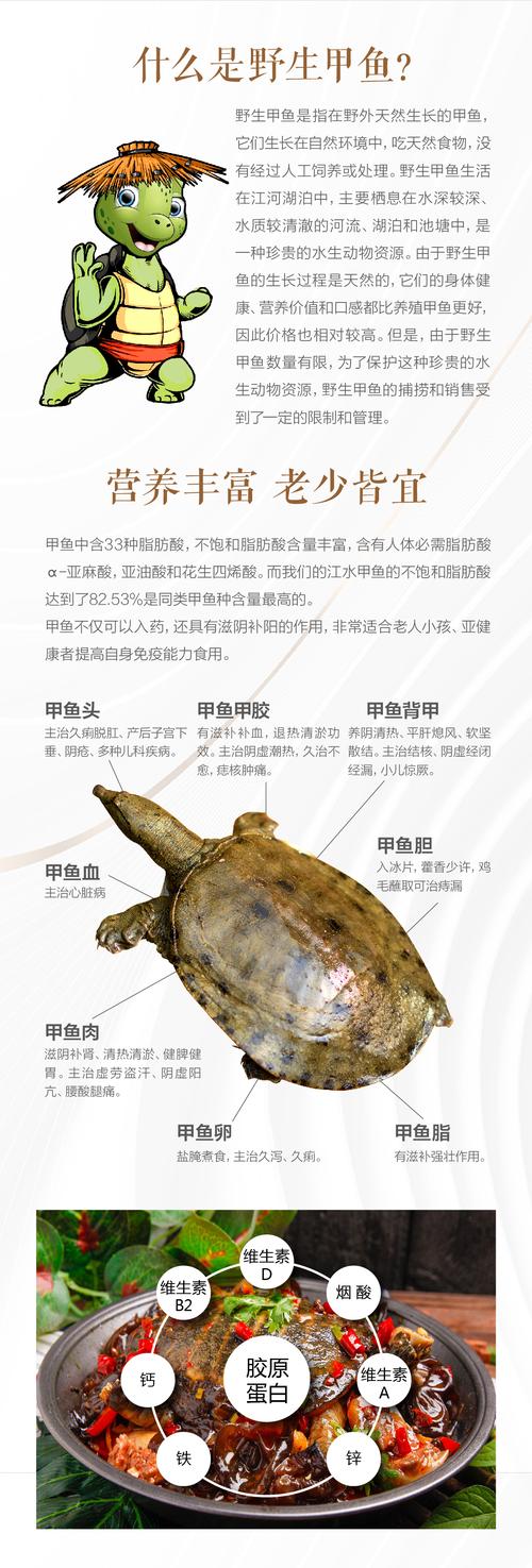 甲鱼壳的价格为多少-第3张图片-宁夏农业信息网