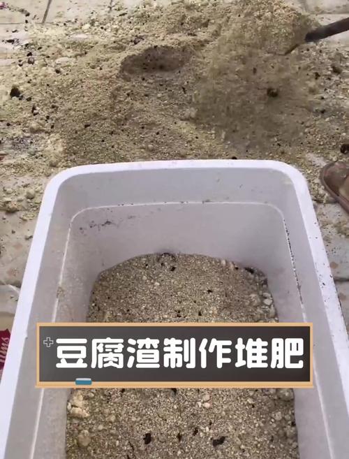 豆渣可做什么养殖饲料-第3张图片-宁夏农业信息网