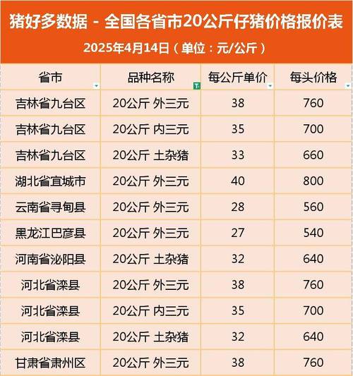 河南的仔猪价格是多少-第3张图片-宁夏农业信息网 河南的仔猪价格是多少-第3张图片-宁夏农业信息网