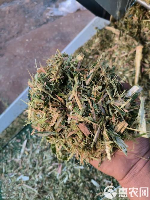 青饲料中缺少的维生素是什么-第3张图片-宁夏农业信息网