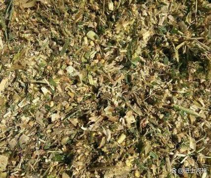 青饲料中缺少的维生素是什么-第2张图片-宁夏农业信息网