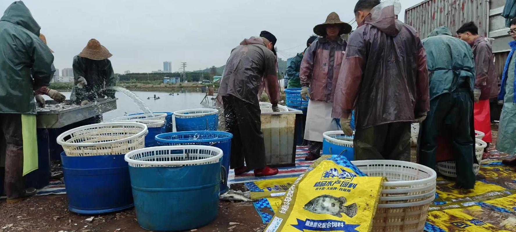 群丰鱼饲料价格多少-第1张图片-宁夏农业信息网