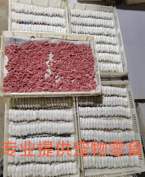 蛇的饲料是什么-第2张图片-宁夏农业信息网