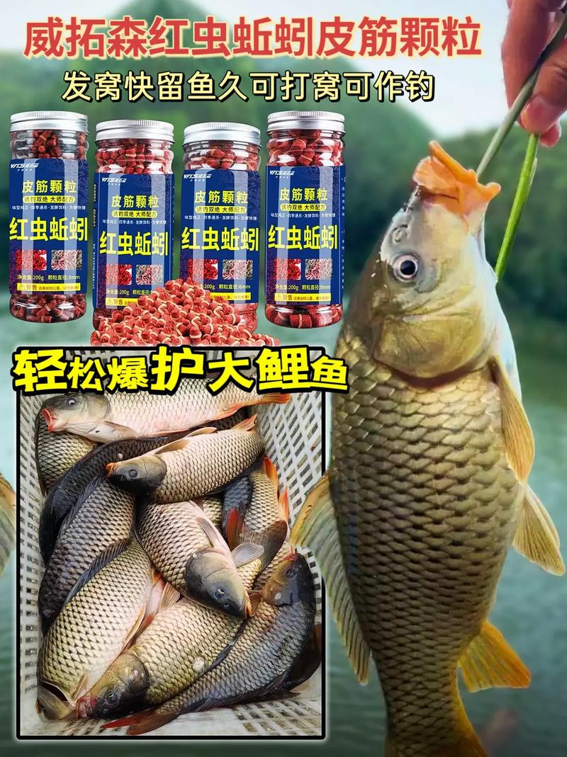 蚯蚓饲料用什么药消毒-第1张图片-宁夏农业信息网