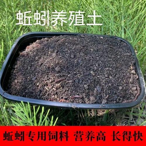 蚯蚓饲料用什么药消毒-第3张图片-宁夏农业信息网