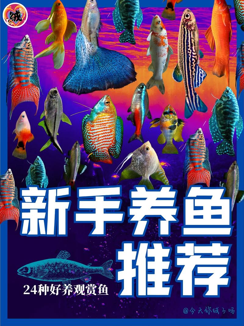 养殖水体为肥水时应主养的品种是什么鱼-第3张图片-宁夏农业信息网 养殖水体为肥水时应主养的品种是什么鱼-第3张图片-宁夏农业信息网