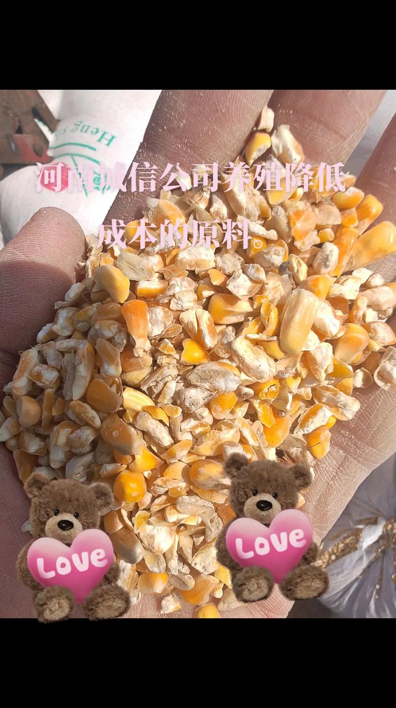 鸭饲料养鸭人吃多鸭有什么-第3张图片-宁夏农业信息网