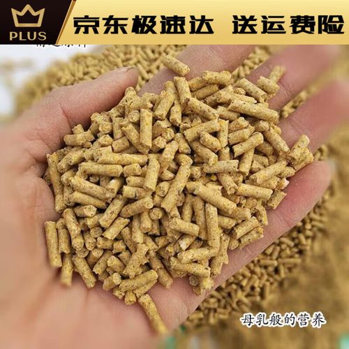 羊饲料用什么好-第2张图片-宁夏农业信息网