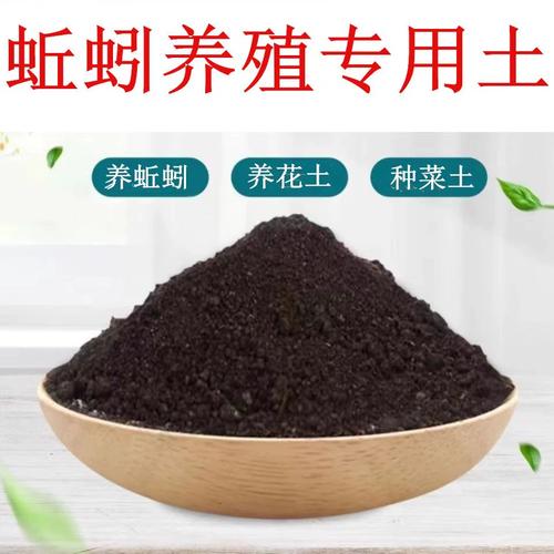 养蚯蚓用什么饲料养-第1张图片-宁夏农业信息网 养蚯蚓用什么饲料养-第1张图片-宁夏农业信息网