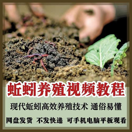 养蚯蚓用什么饲料养-第3张图片-宁夏农业信息网 养蚯蚓用什么饲料养-第3张图片-宁夏农业信息网