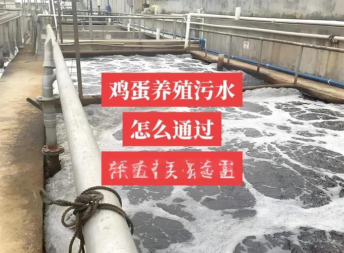 河面为什么不让养殖-第3张图片-宁夏农业信息网