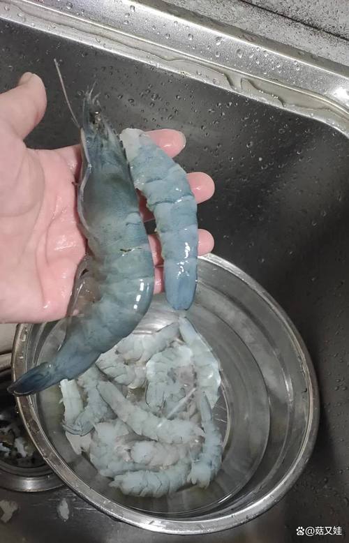 河面为什么不让养殖-第2张图片-宁夏农业信息网