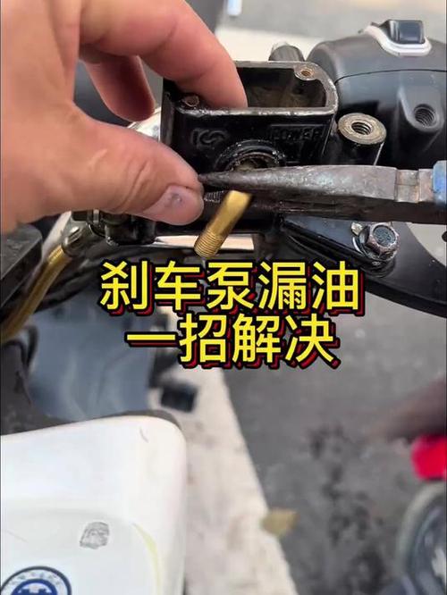 机泵漏油怎么办-第1张图片-宁夏农业信息网