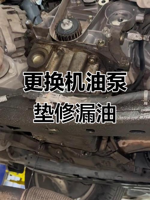 机泵漏油怎么办-第2张图片-宁夏农业信息网