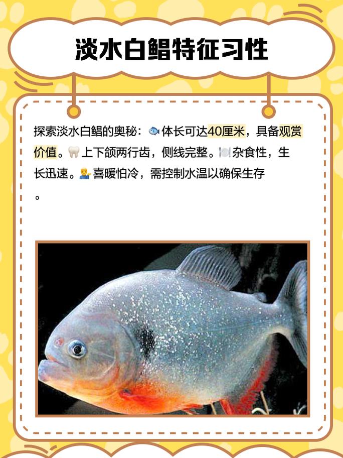 淡水鲳鱼养殖喂什么饲料-第3张图片-宁夏农业信息网