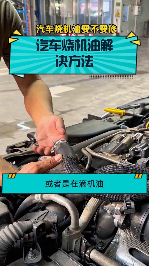 烧机油的铲车怎么修-第3张图片-宁夏农业信息网