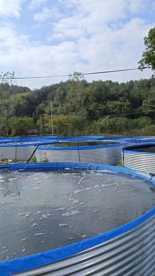 工厂化养殖用什么增氧-第3张图片-宁夏农业信息网 工厂化养殖用什么增氧-第3张图片-宁夏农业信息网