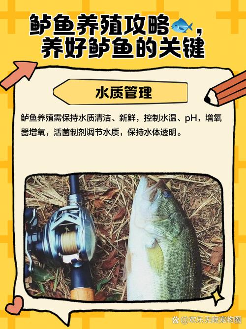 养殖鲈鱼需要什么技术-第2张图片-宁夏农业信息网 养殖鲈鱼需要什么技术-第2张图片-宁夏农业信息网