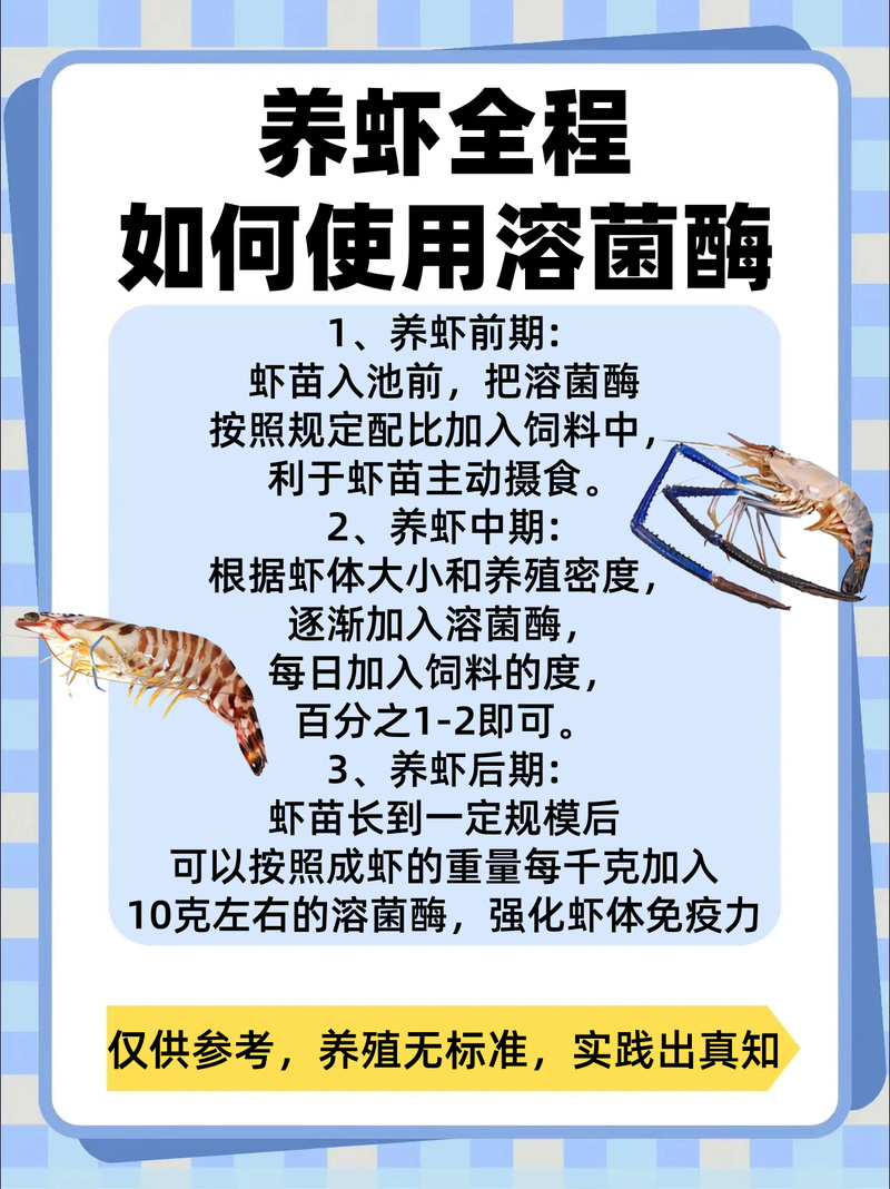 为什么对虾养殖要使用抗生素-第3张图片-宁夏农业信息网 为什么对虾养殖要使用抗生素-第3张图片-宁夏农业信息网